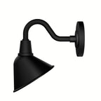 Hunter Cassius Matte Black 1 Light Small
