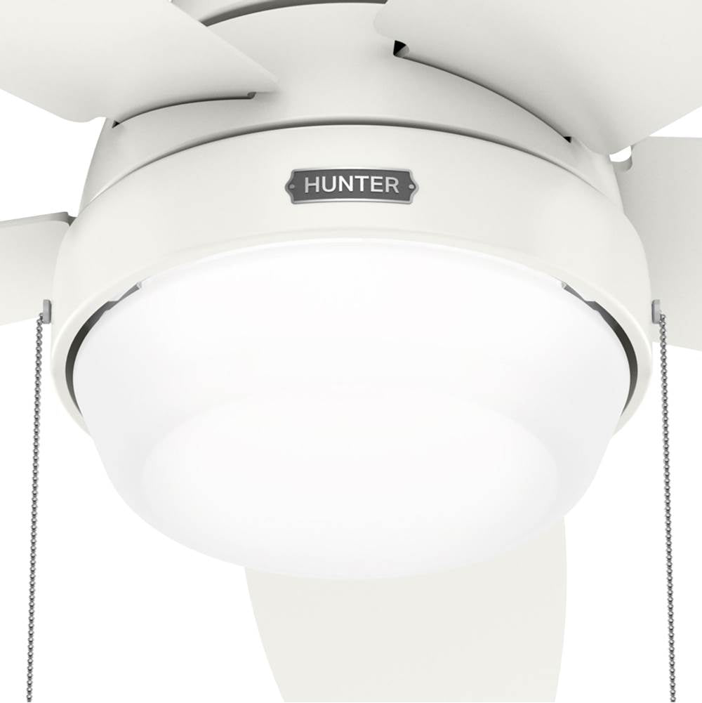 Hunter Lilliana 52in Lilliana -  Fresh White