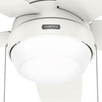 Hunter Lilliana 52in Lilliana -  Fresh White