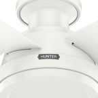 Hunter 59334 Fresh White 44 Inch Dempsey Lp Fresh White Image 4