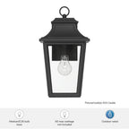 Hunter 46080 Matte Black Hunter Spring Cove Matte Black With Clear Glass 1 Light Image 6