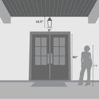 Hunter 46084 Matte Black Hunter Spring Cove Matte Black With Clear Glass 3 Light Image 6