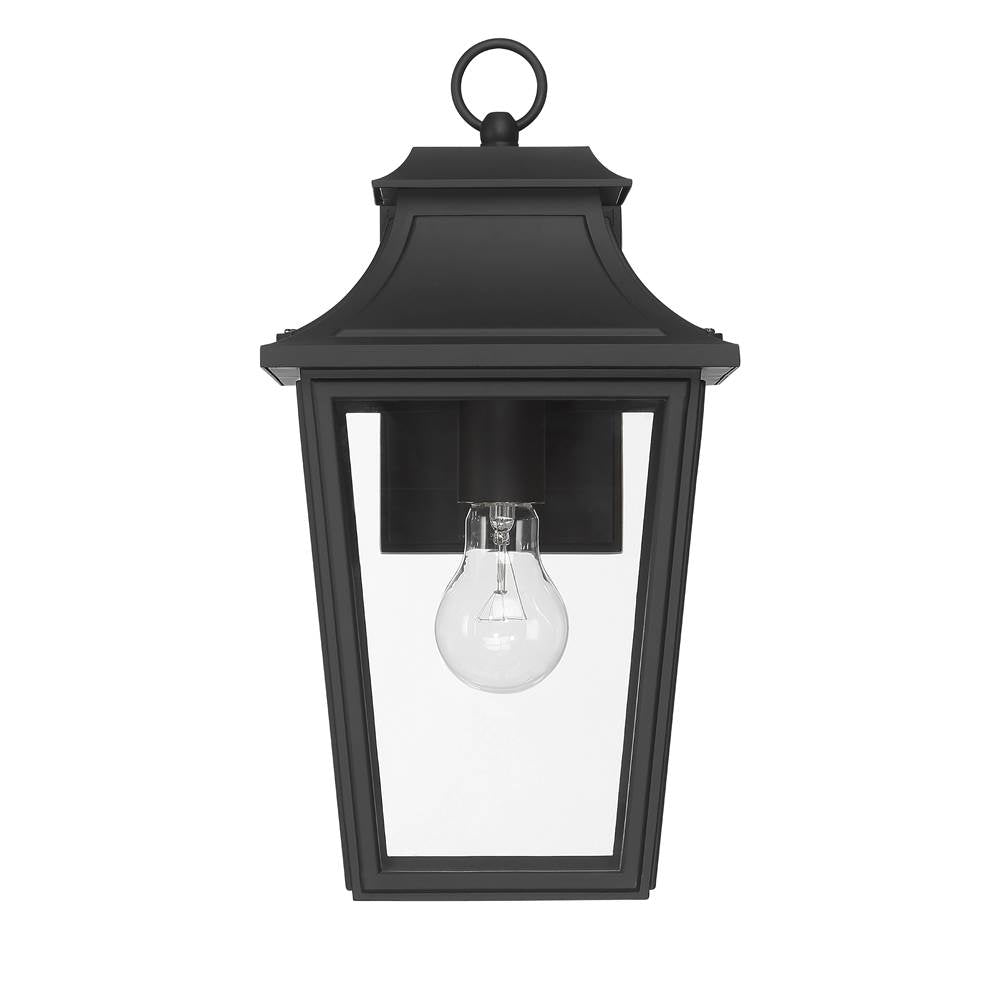 Hunter 46080 Matte Black Hunter Spring Cove Matte Black With Clear Glass 1 Light Image 1
