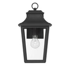Hunter 46080 Matte Black Hunter Spring Cove Matte Black With Clear Glass 1 Light Image 1