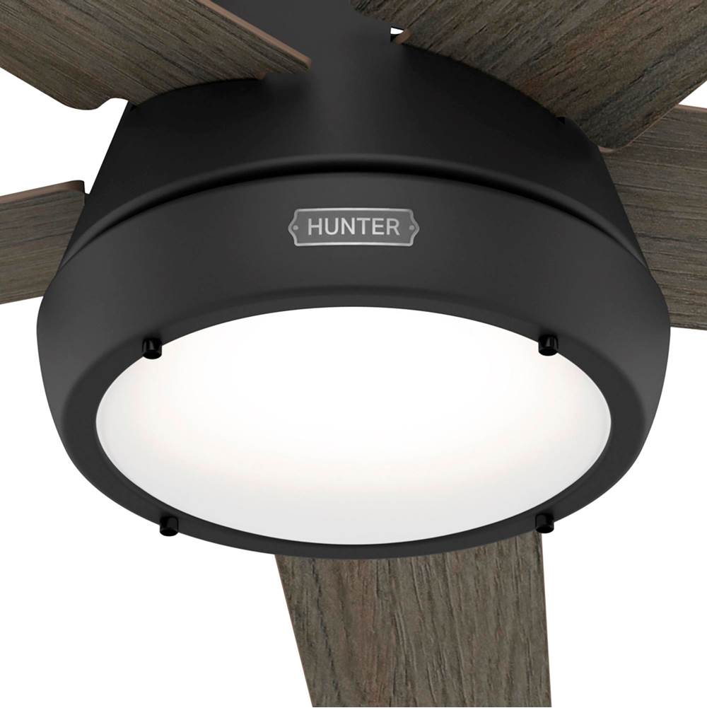 Hunter Burroughs 52in Burroughs - Flat Matte Black