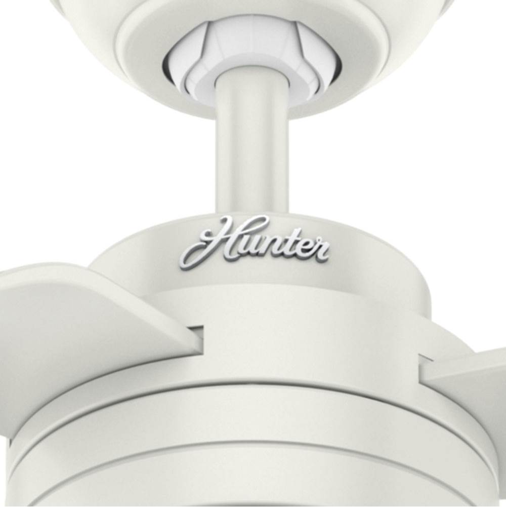 Hunter 50257 Fresh White 52'' Cabo Frio - Fresh White Image 4