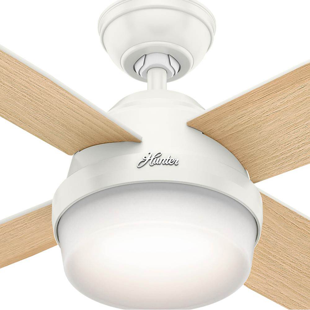 Hunter 59217 Fresh White 52'' Dempsey-fresh White Image 3