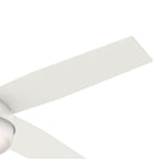 Hunter 59217 Fresh White 52'' Dempsey-fresh White Image 5