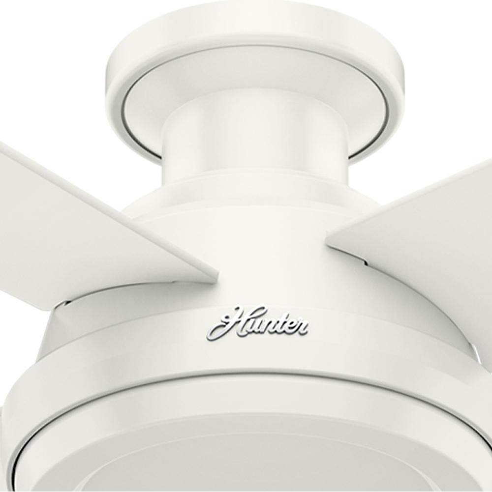 Hunter 59248 Fresh White 52'' Dempsey Lowpro-fresh White-no Light Image 3