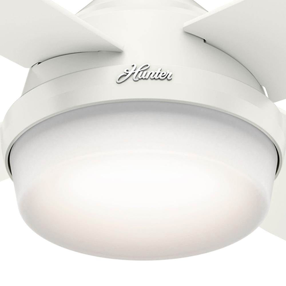 Hunter 59252 Fresh White 52'' Dempsey-fresh White-damp Image 3