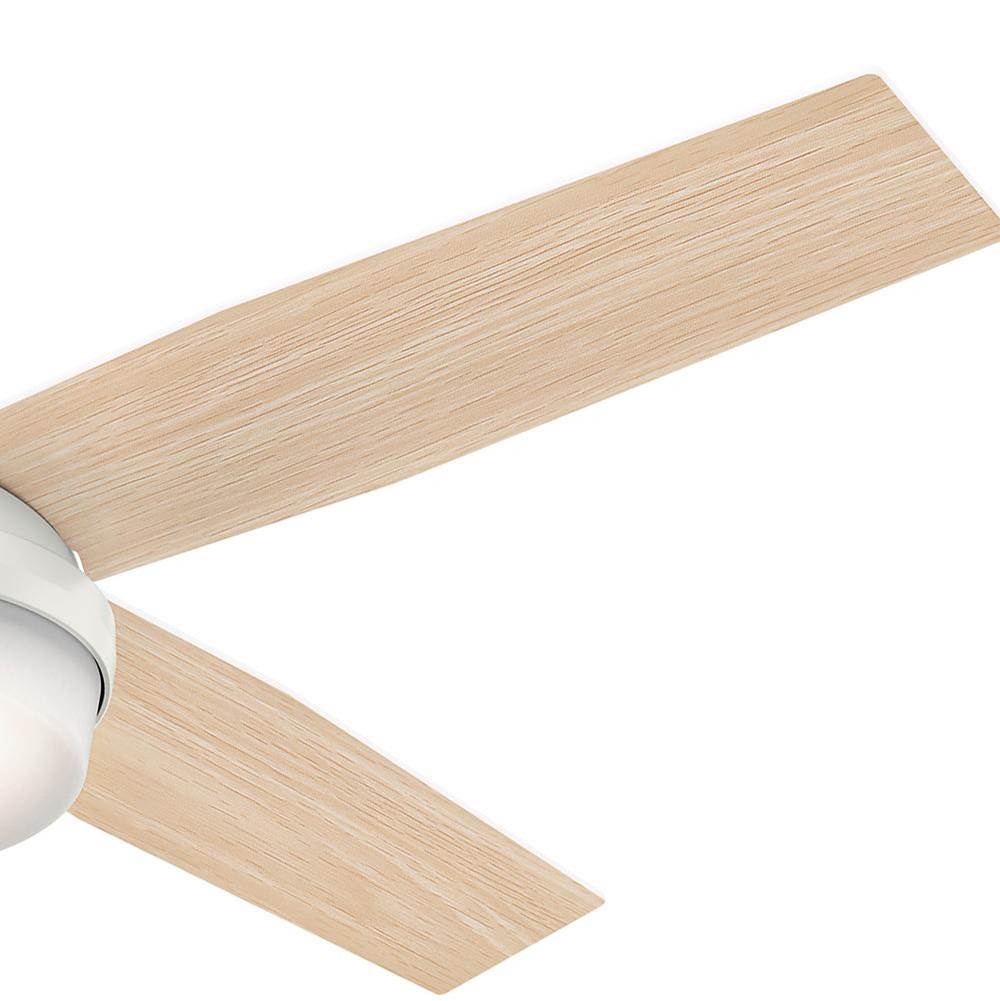 Hunter 59252 Fresh White 52'' Dempsey-fresh White-damp Image 5