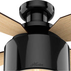 Hunter 59259 Gloss Black 52'' Cranbrook Lp-gloss Black Image 3