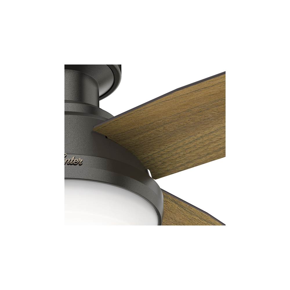 Hunter 59445 Noble Bronze 44'' Dempsey Lp-noble Bronze Image 4