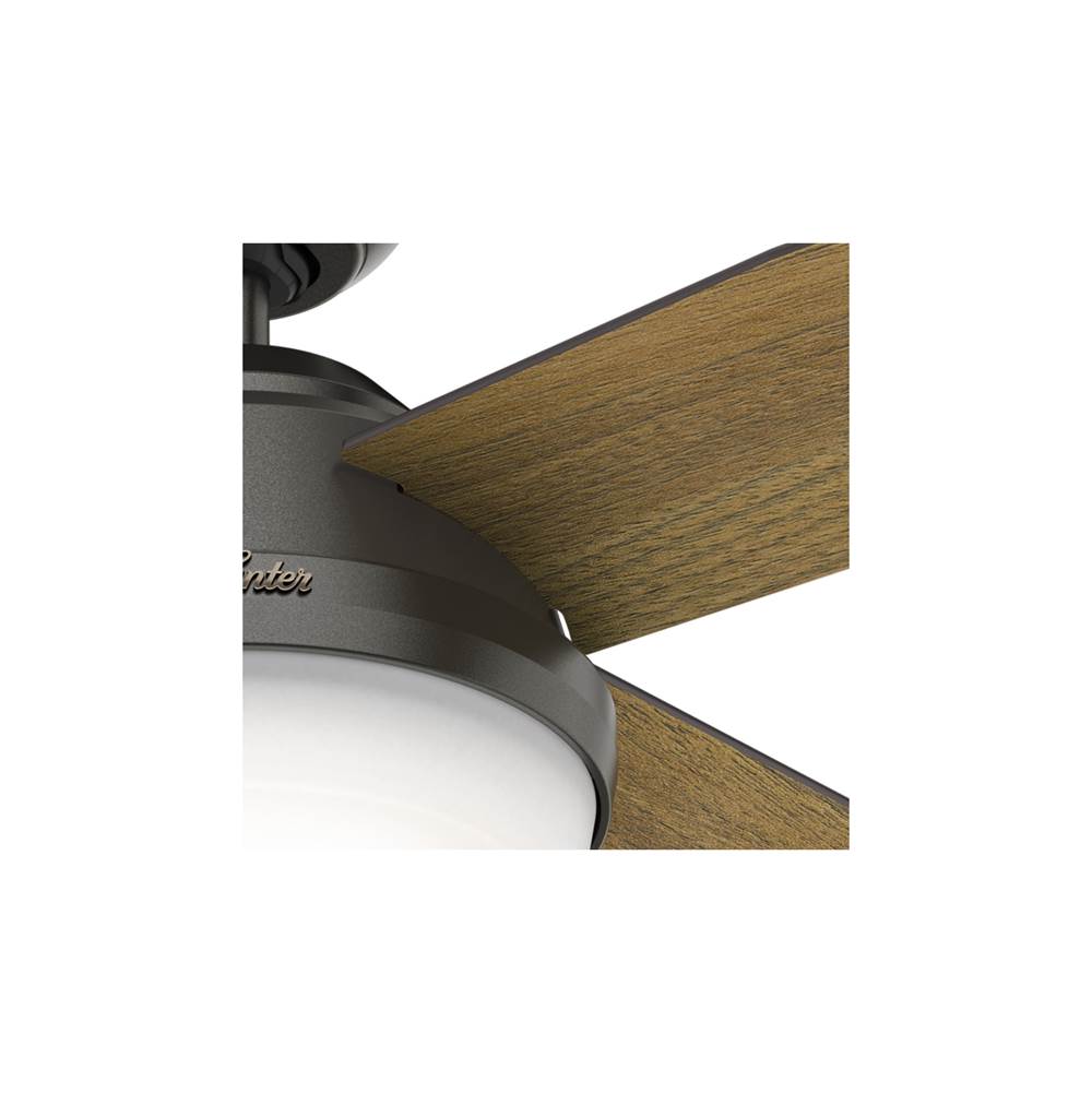 Hunter 59446 Noble Bronze 52'' Dempsey-noble Bronze Image 5