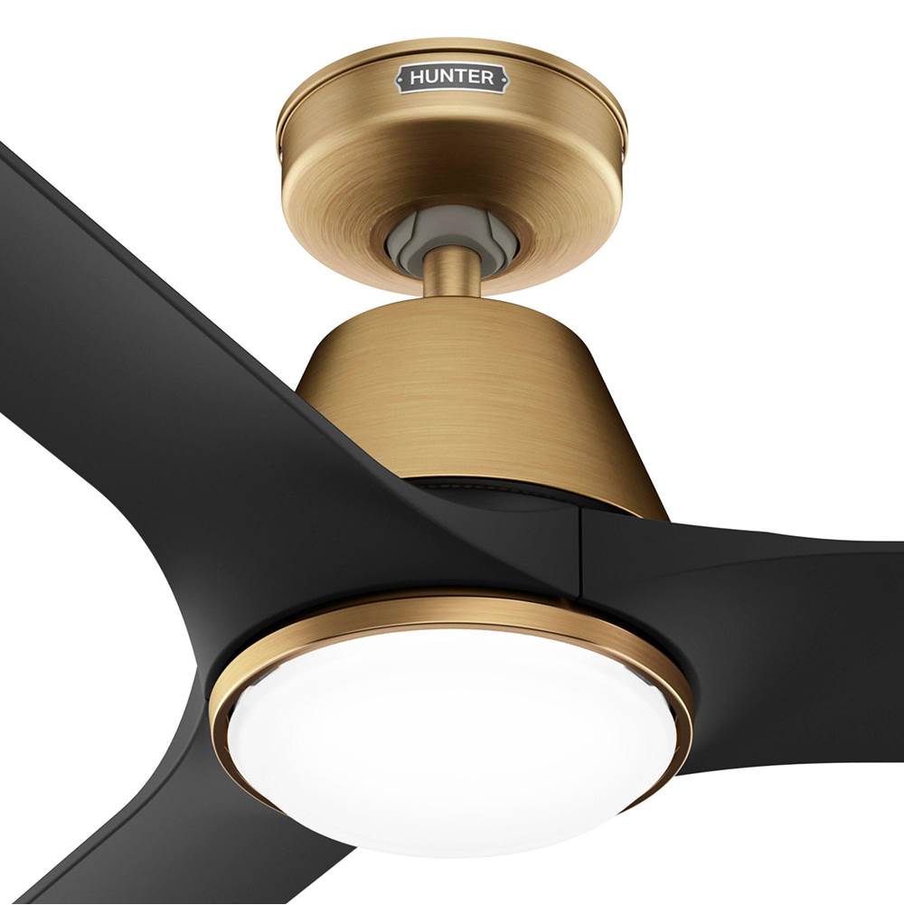Hunter 52885 Luxe Gold 44 In Aeronaut - Luxe Gold / M Image 2
