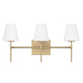 Hunter 13251 Luxe Gold,Cased White Glass Camelia Stem Jasmine Roth 3 Light Vanity Image 1