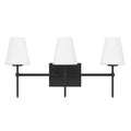 Hunter 13250 Matte Black,Cased White Glass Camelia Stem Jasmine Roth 3 Light Vanity Image 1