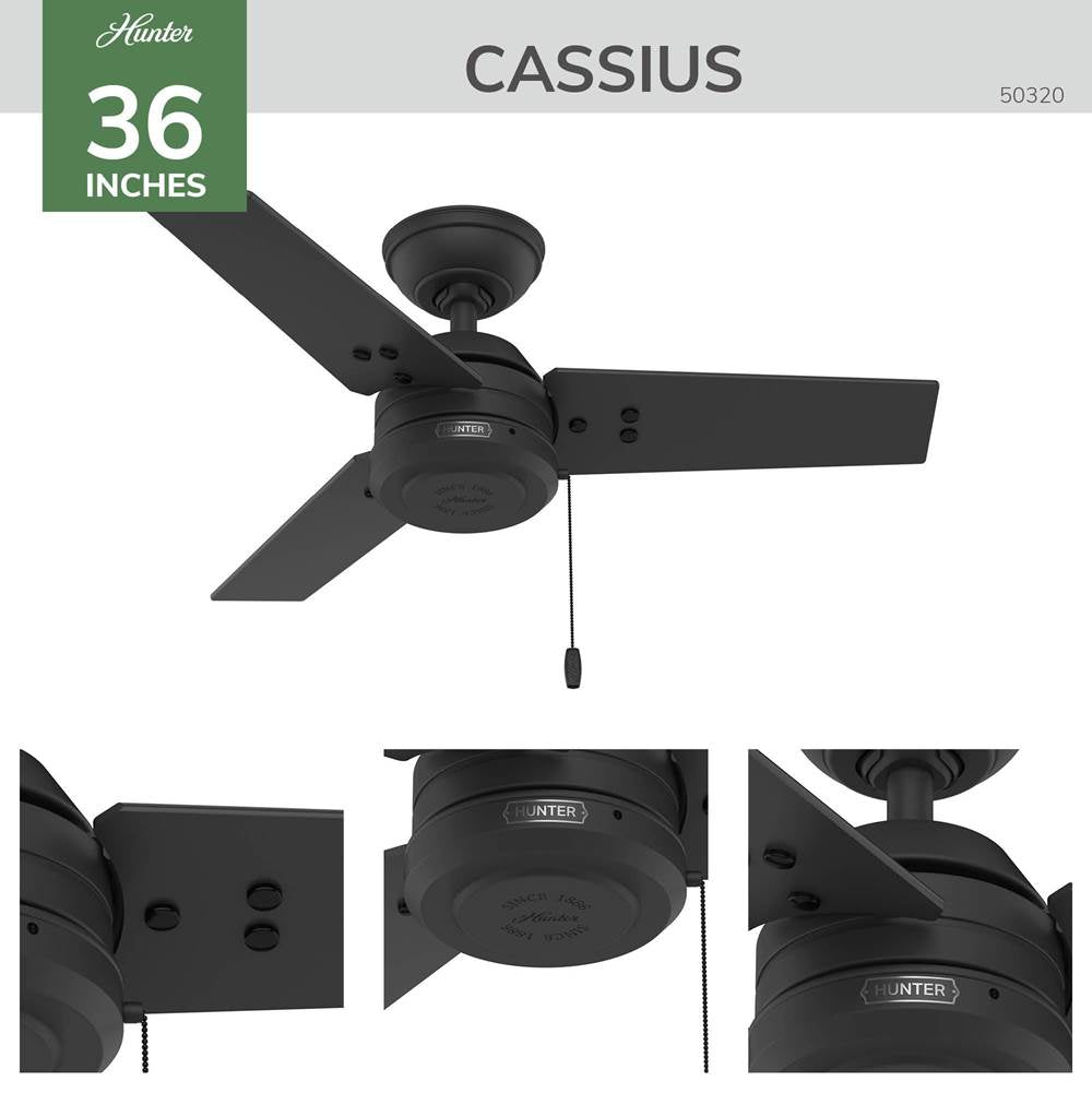Hunter 50320 Matte Black 36 Inch Cassius Matte Black Image 8