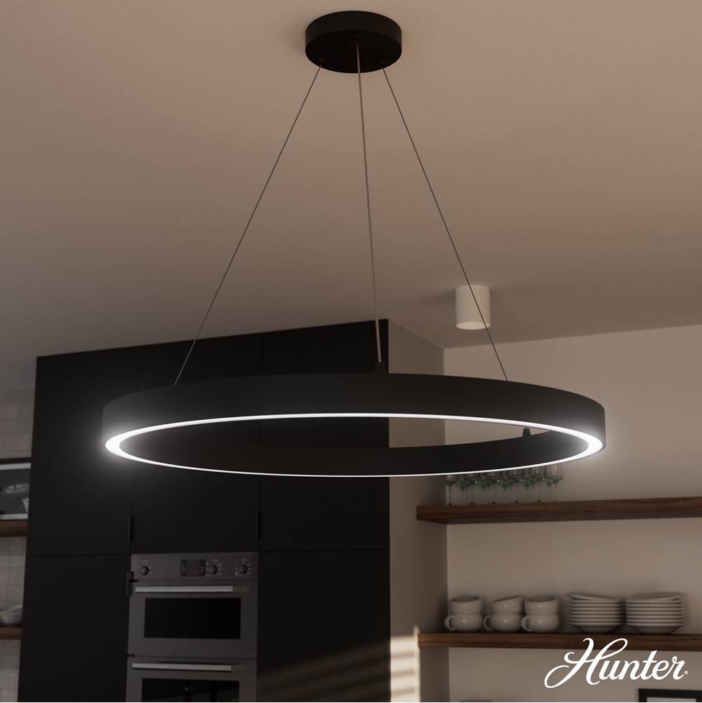 Hunter 13120 Matte Black Canoga Matte Black 1 Light Large Chandelier Ceiling Light Fixture Image 4