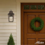 Hunter 46081 Matte Bronze Hunter Spring Cove Matte Bronze With Clear Glass 1 Light Image 8