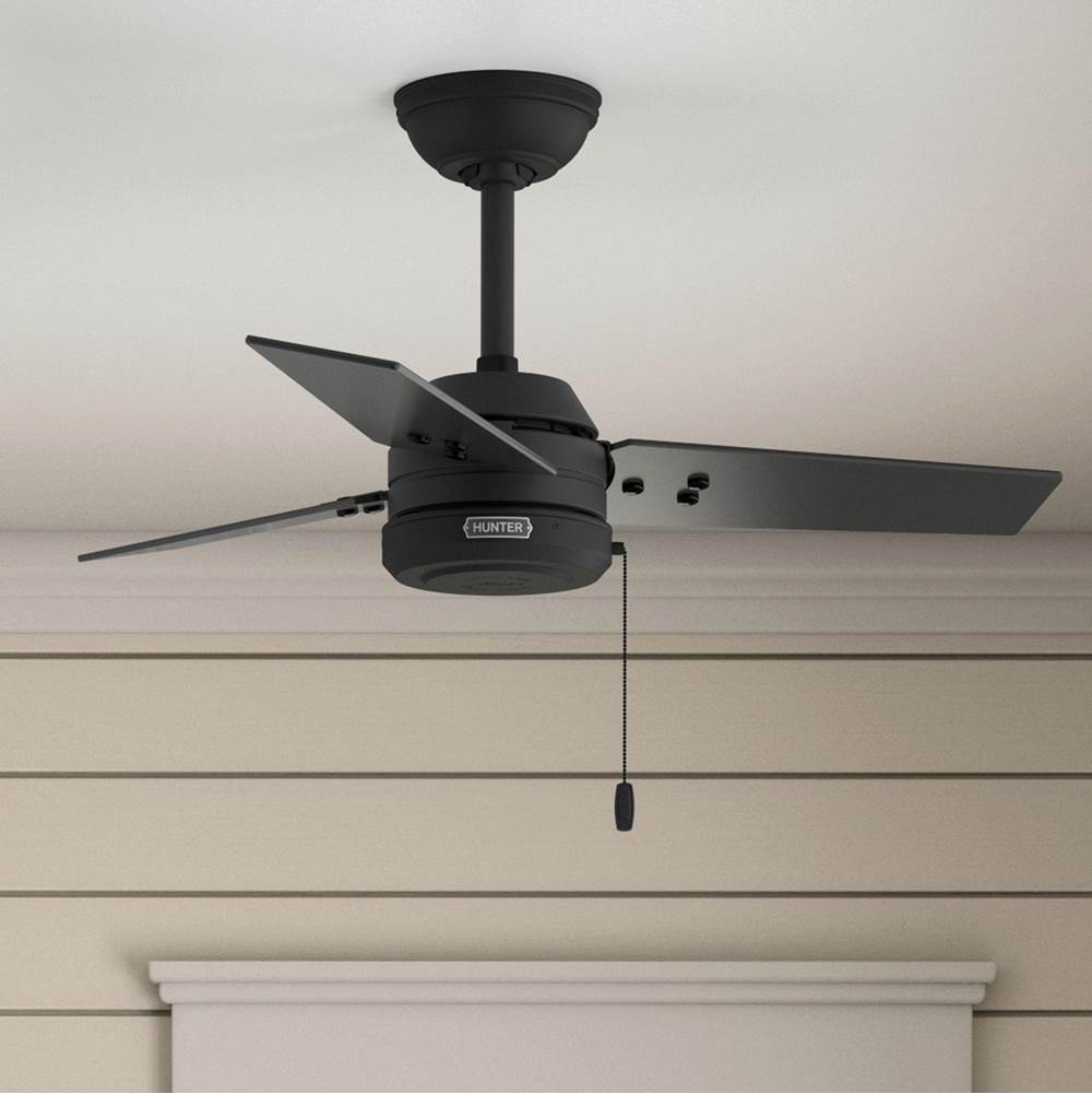 Hunter 50320 Matte Black 36 Inch Cassius Matte Black Image 9