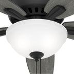Hunter Newsome 52 Inch Newsome Matte Black Low Profile Ceiling Fan With Led Light Kit And Pull Chain