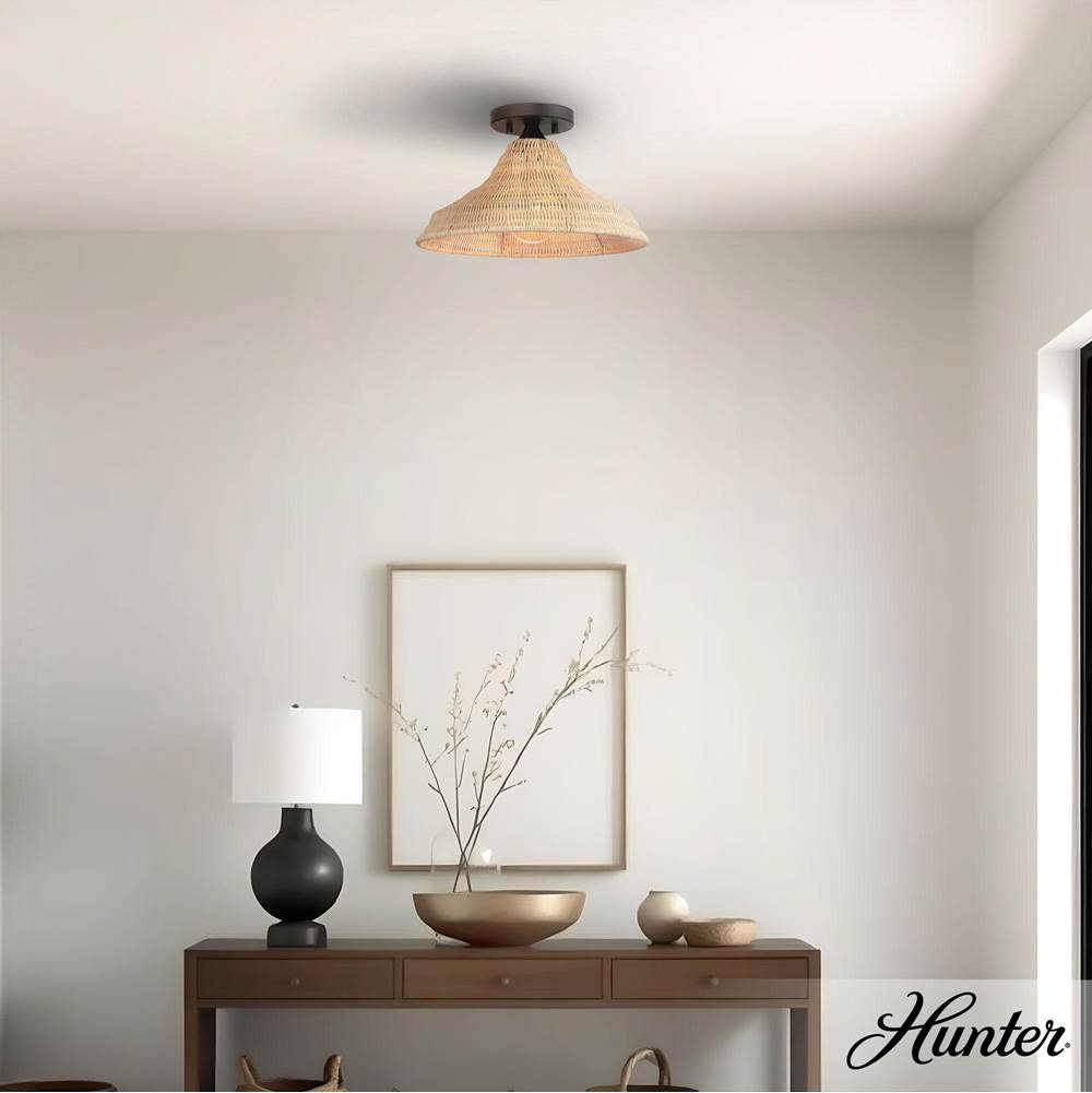 Hunter 48082 Matte Black Agoura Matte Black 1 Light Medium Flush Mount Ceiling Light Fixture Image 2