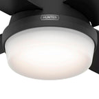 Hunter Dempsey 52 Inch Dempsey Matte Black Ceiling Fan With Led Light Kit And Handheld Remote