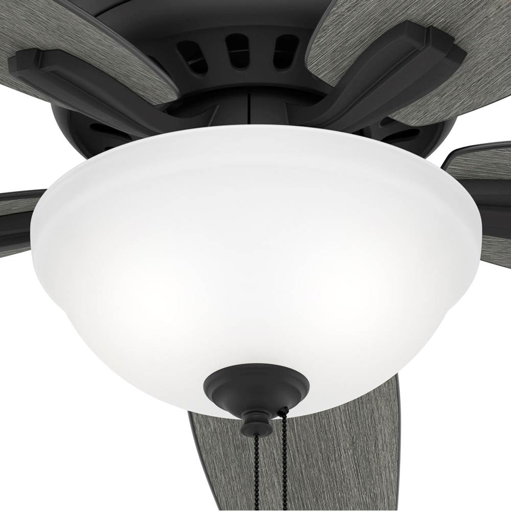 Hunter Newsome 52 Inch Newsome Matte Black Ceiling Fan With Led Light Kit And Pull Chain
