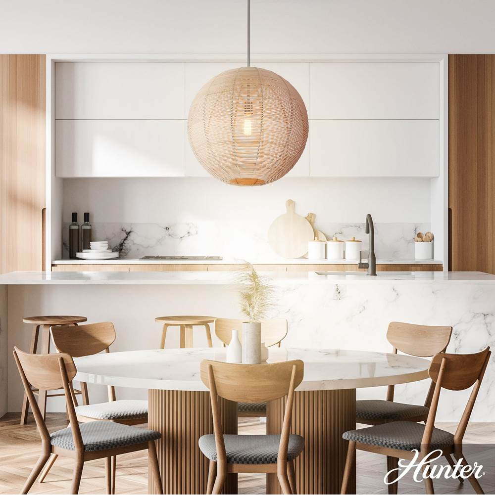 Hunter 48087 Brushed Nickel Berkeley Brushed Nickel 1 Light Large Pendant Ceiling Light Fixture Image 2