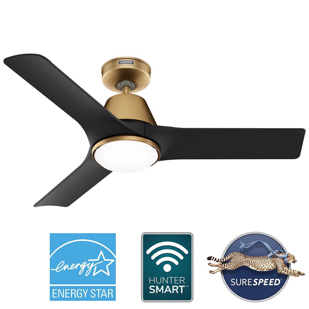 Hunter Aeronaut 44 In Aeronaut - Luxe Gold / M