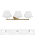 Hunter 48110 Alturas Gold Celestial Valley 3 Light Medium Vanity Gold Image 3