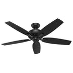 Hunter 53324 Matte Black 52'' Newsome-black-damp Image 1