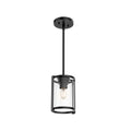 Hunter 19005 Matte Black Astwood 1 Light Pendant Image 1