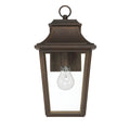 Hunter 46081 Matte Bronze Hunter Spring Cove Matte Bronze With Clear Glass 1 Light Image 1