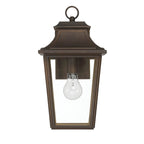 Hunter 46081 Matte Bronze Hunter Spring Cove Matte Bronze With Clear Glass 1 Light Image 1