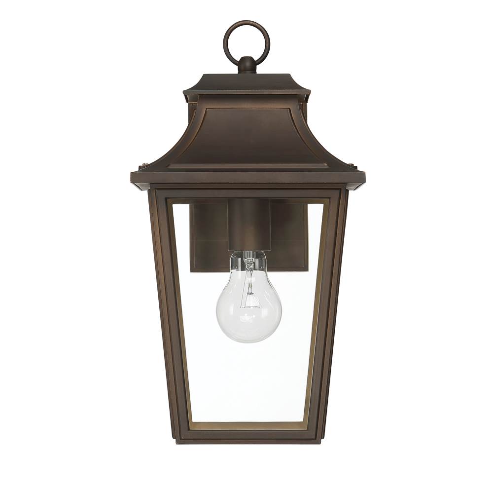 Hunter 46081 Matte Bronze Hunter Spring Cove Matte Bronze With Clear Glass 1 Light Image 1