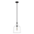 Hunter 19655 Noble Bronze Dunshire Bell Clear Seeded Glass 1 Light 12 Inch Medium Pendant Image 1
