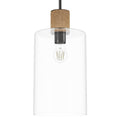 Hunter 13112 Noble Bronze Hunter Vanning Noble Bronze And Natural Sisal Rope With Clear Glass 1 Light Pendant Ceiling Light Fixture Image 1