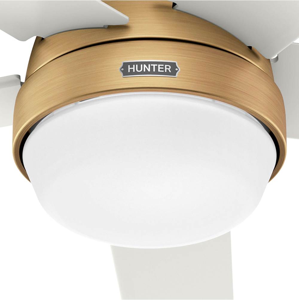 Hunter 53783 Luxe Gold 60in Aerodyne With Reversible Blades - Luxe Gold Image 5