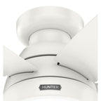 Hunter 52418 Fresh White 52in Lilliana -  Fresh White Image 8