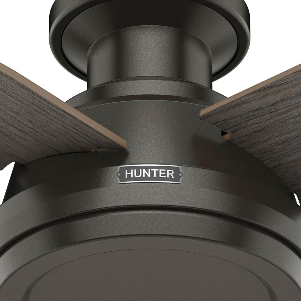 Hunter 59336 Noble Bronze 44 Inch Dempsey Lp Noble Bronze Image 4