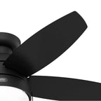 Hunter 52613 Matte Black 44in Lilliana - Flat Matte Black Image 6