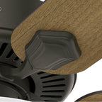 Hunter 52782 New Bronze Hunter 44 Inch Swanson New Bronze Ceiling Fan With Led Light Kit And Pull Chain Image 9