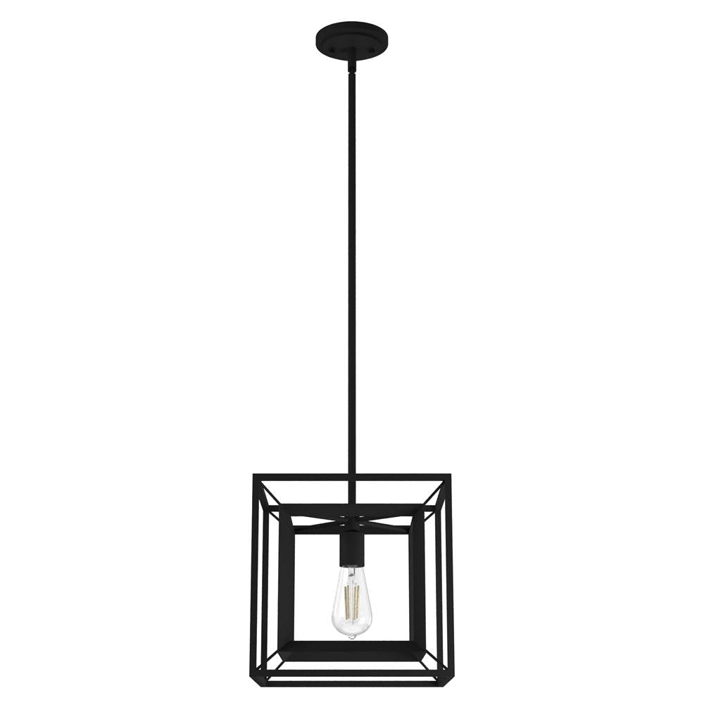 Hunter 19406 Natural Iron Doherty Convertible 1 Light Pendant 12 Inch Image 1