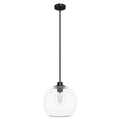 Hunter 19512 Matte Black Xidane Matte Black With Clear Glass 1 Light Pendant Ceiling Light Fixture Image 1
