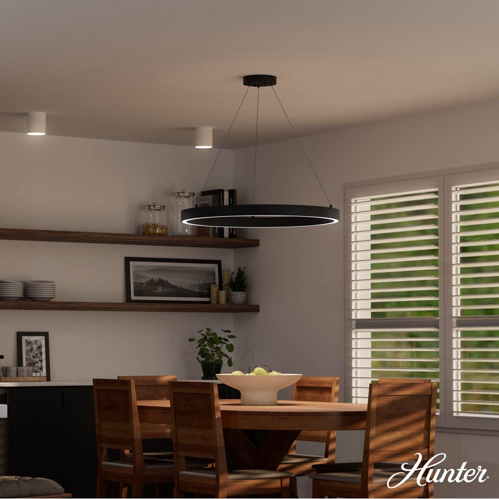 Hunter 13120 Matte Black Canoga Matte Black 1 Light Large Chandelier Ceiling Light Fixture Image 5