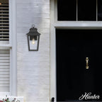 Hunter 46080 Matte Black Hunter Spring Cove Matte Black With Clear Glass 1 Light Image 8