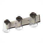 Hunter 48021 Onyx Bengal,Barnwood Devon Park Onyx Bengal And Barnwood With Clear Glass 3 Light Vanity Wall Light Fixture Image 7