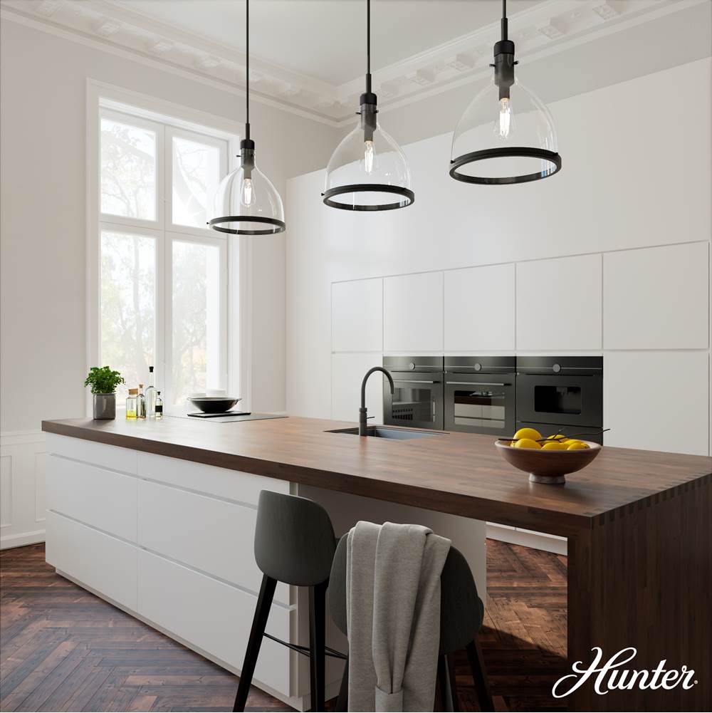 Hunter 48051 Matte Black Van Nuys Matte Black With Clear Glass 1 Light Pendant Ceiling Light Fixture Image 3